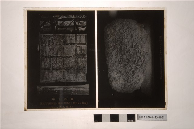 翻拍臺北醫院解剖室之蟻害玻璃底片 (共2張)