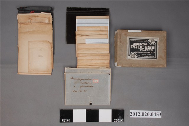 臺灣大學農學院照片及底片組 (共5張)