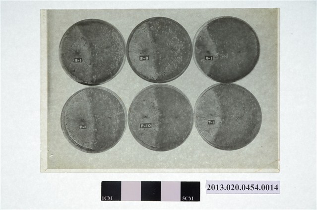 1973年3月20日賴炳琳編號S-1等六個培養皿實驗觀察顯微底片 (共4張)