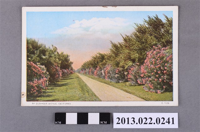 美國加州Oleander Avenue地區風景 (共2張)