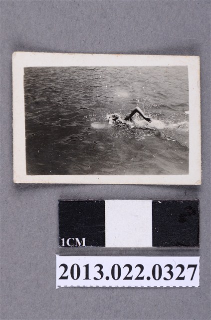 張星賢次子游泳照 (共2張)