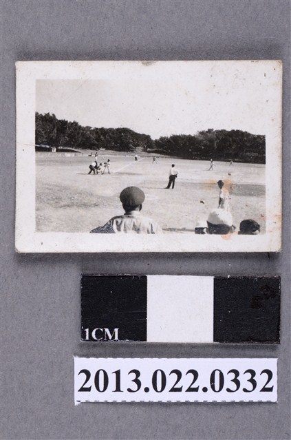 棒球比賽照 (共2張)