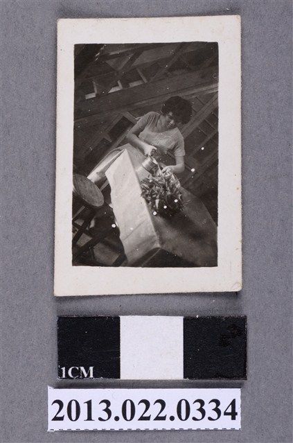 張星賢親戚照片 (共2張)