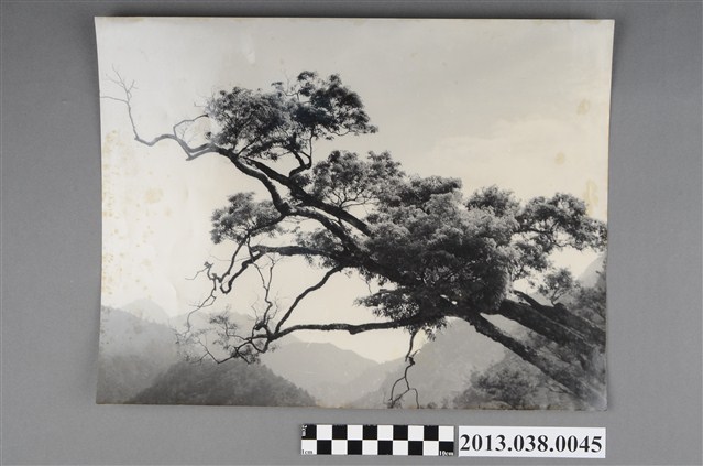 中橫風景 (共2張)