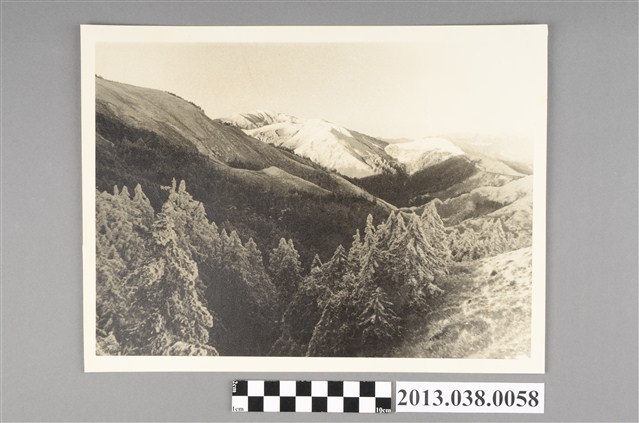 中橫溪谷吊橋風景 (共2張)