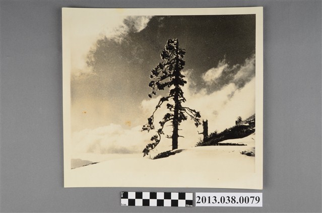 中橫風景 (共2張)