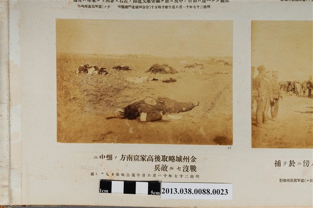 進攻後金州城高家窟南方農田中戰死的敵兵 (共1張)