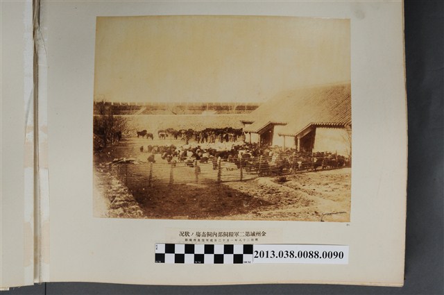 金州城第二軍糧飼部內飼畜場狀况 (共1張)