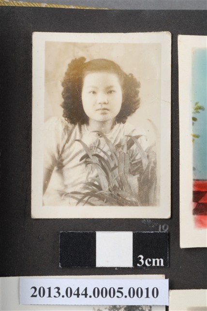 女子獨照 (共2張)