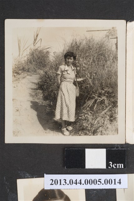 女子獨照 (共2張)