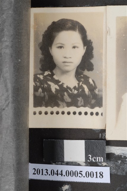 女子獨照 (共2張)