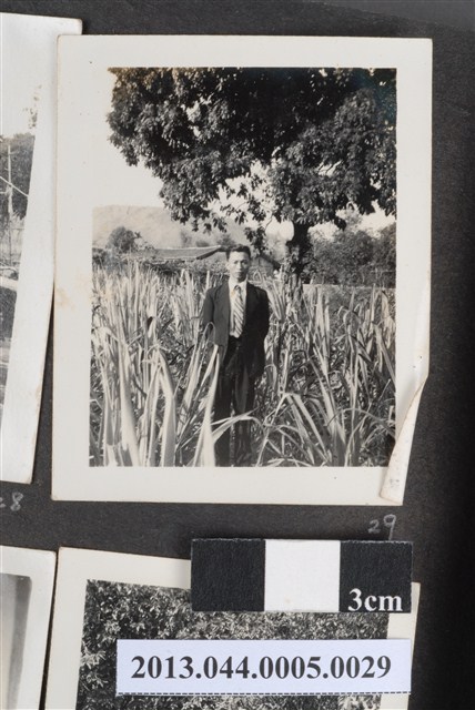 男子獨照 (共2張)