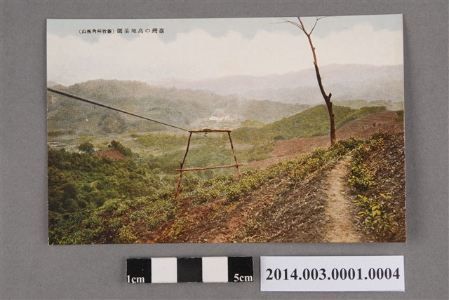 臺灣的高地茶園 (共2張)