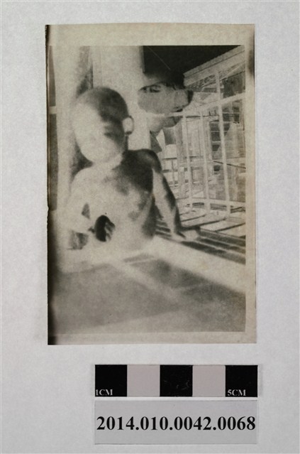 孩童獨照 (共2張)