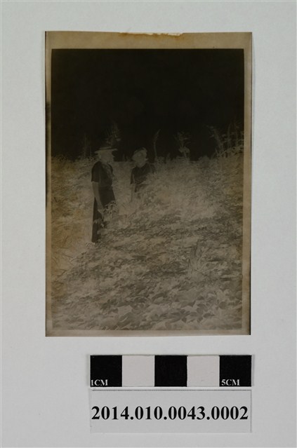 兩女合照 (共2張)