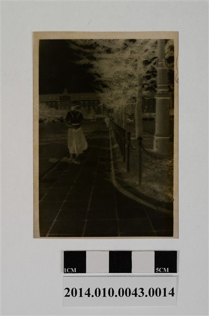 東京車站獨行女子 (共2張)