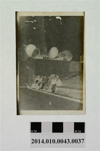 輪船上十人合照 (共2張)