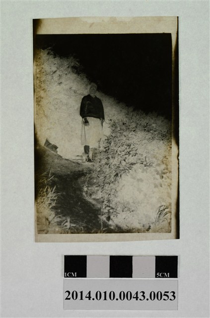 女子獨照 (共2張)