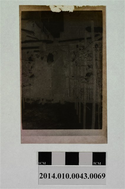 男女合照 (共2張)