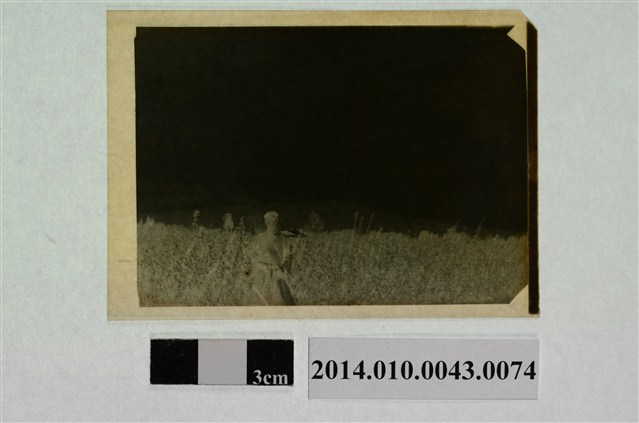 男子獨照 (共2張)