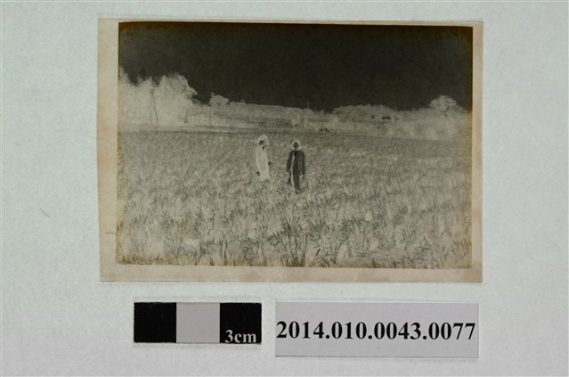 兩人合照 (共2張)