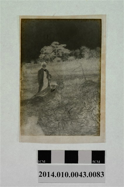 男女合照 (共2張)