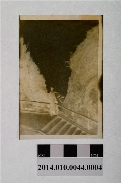 階前獨照 (共2張)