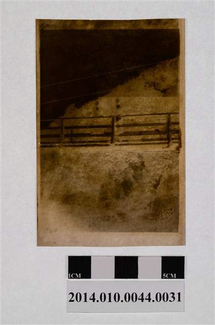 兩女合照 (共2張)