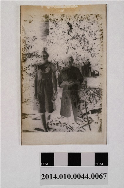 男女合照 (共2張)