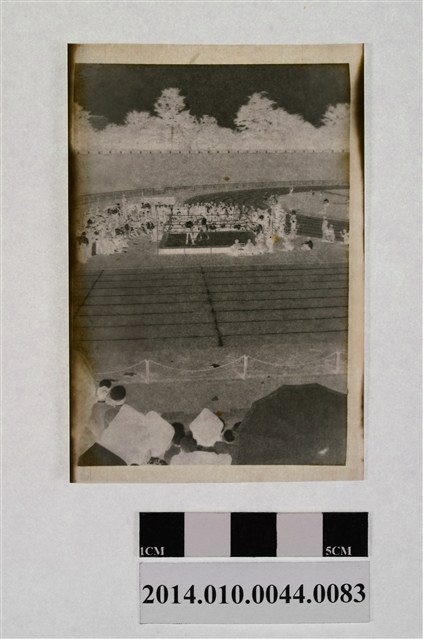 體育場一景 (共2張)