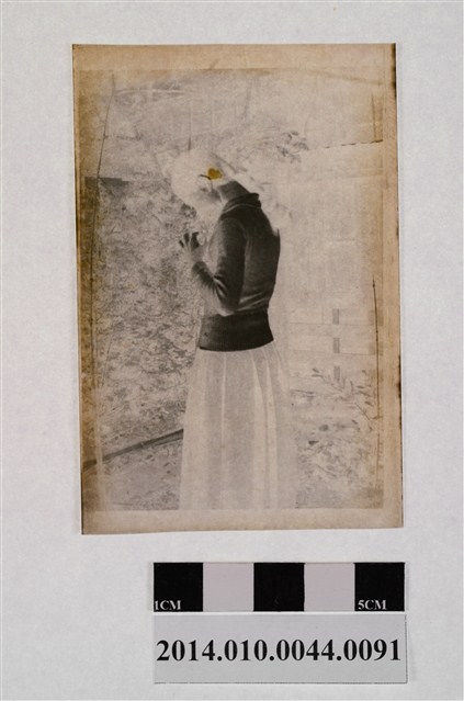 女子背影 (共2張)