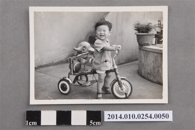民國70年8月30日貴森獨照 (共2張)