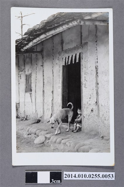 門前小童與狗 (共2張)