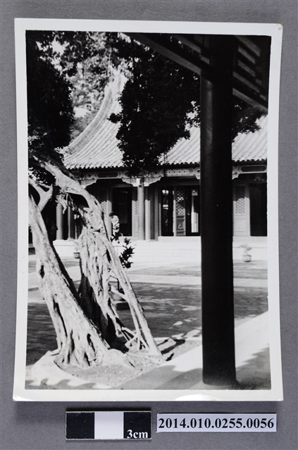 建物前一景 (共2張)