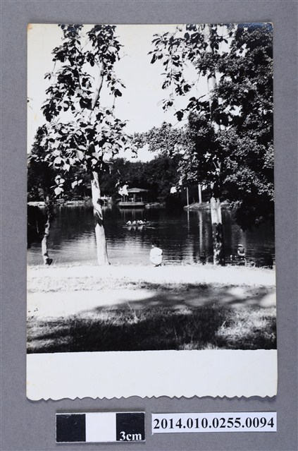池畔之景 (共2張)