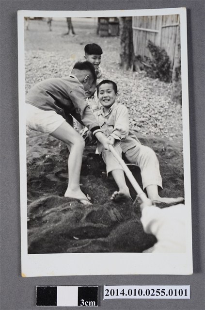 男童拔河 (共2張)