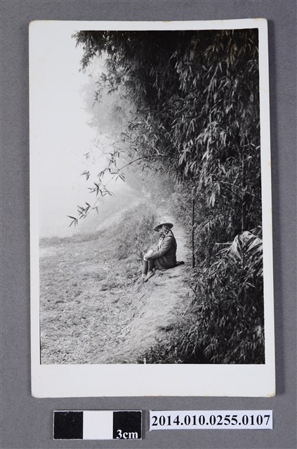 小徑獨坐 (共2張)