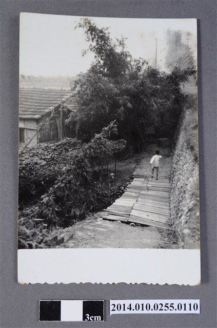 小徑獨行 (共2張)