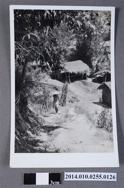 山徑挑擔男子 (共2張)