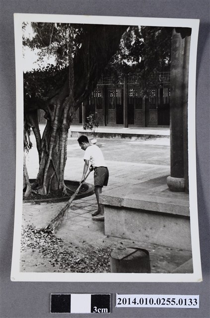 掃葉男子 (共2張)