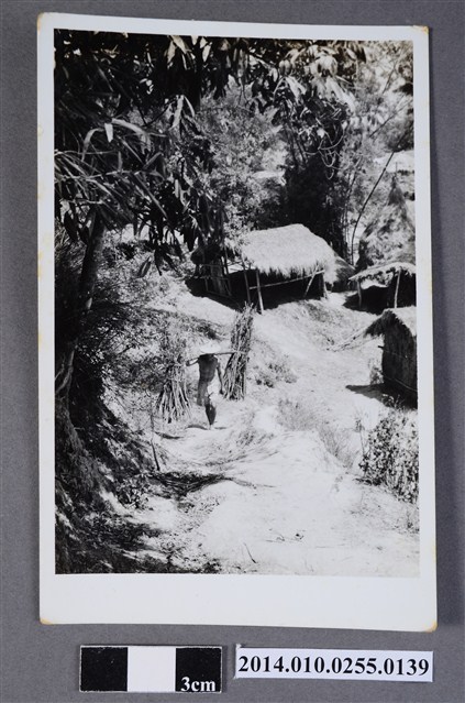 山徑挑擔男子 (共2張)