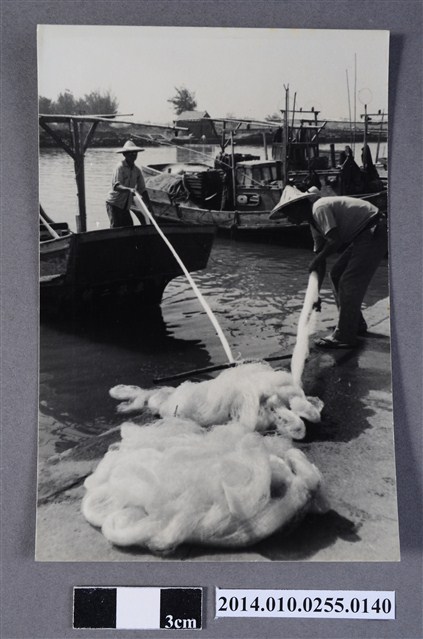 碼頭收網 (共2張)