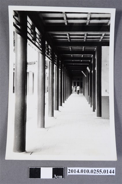 長廊同行 (共2張)