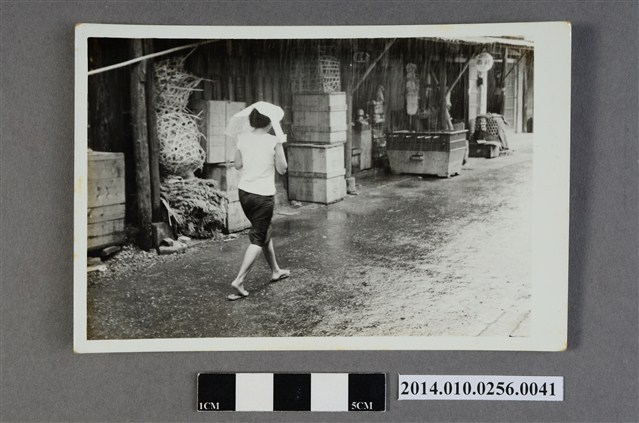 雨中獨行 (共2張)