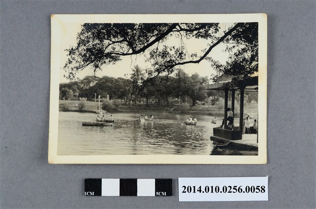 池中泛舟 (共2張)
