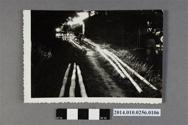 編筏竹子 (共2張)