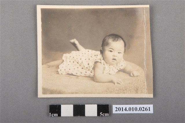 穿洋裝的孩童 (共2張)