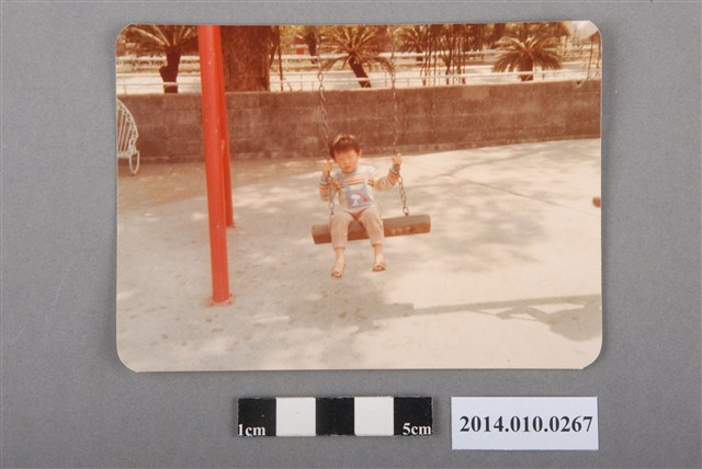 盪鞦韆的男童 (共2張)