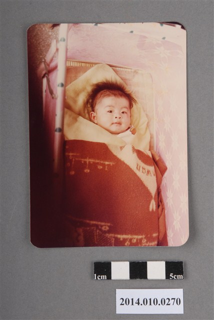 襁葆中的幼兒 (共2張)