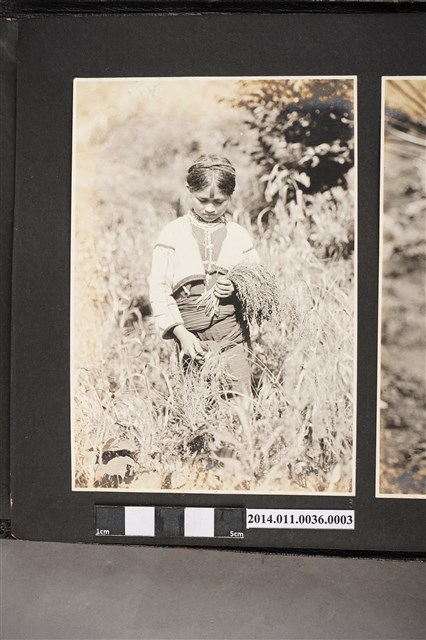 大正12年上原勇作元帥臺灣藩地巡視演說過程中一位泰雅族少女相片 (共2張)